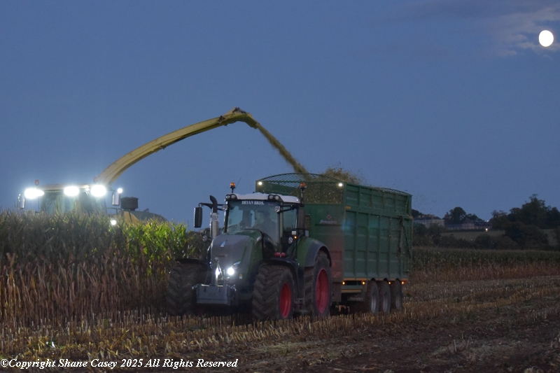 #Maize2025 First crew of the season in front of the lens this evening and only a 2 minutes from my front door. Nice looking crop and ground conditions very good given the amount of rain the last few days.
#IrishFarming 
#IrishAgri 
#IrishTillage
