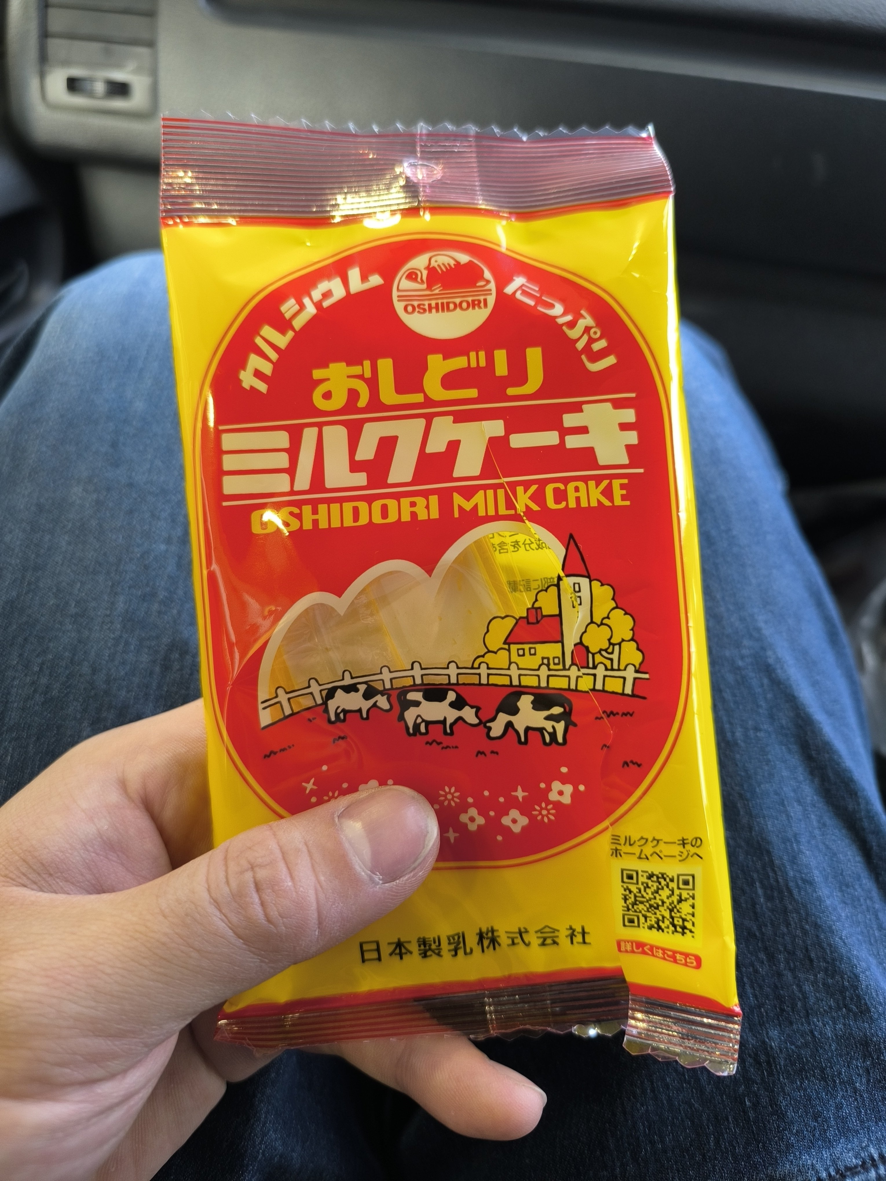 専用( ´͈ ᗨ `͈ )◞♡⃛ Studded Silver Zara Dress | Pickle