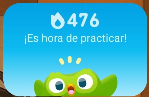 Garosv21's tweet photo. @duolingoespanol 476 y contando !!!! https://t.co/kZFaPD7KxK