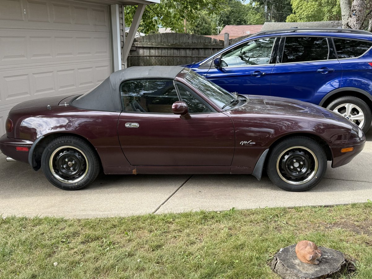 synthfox87.bsky.social tweet media