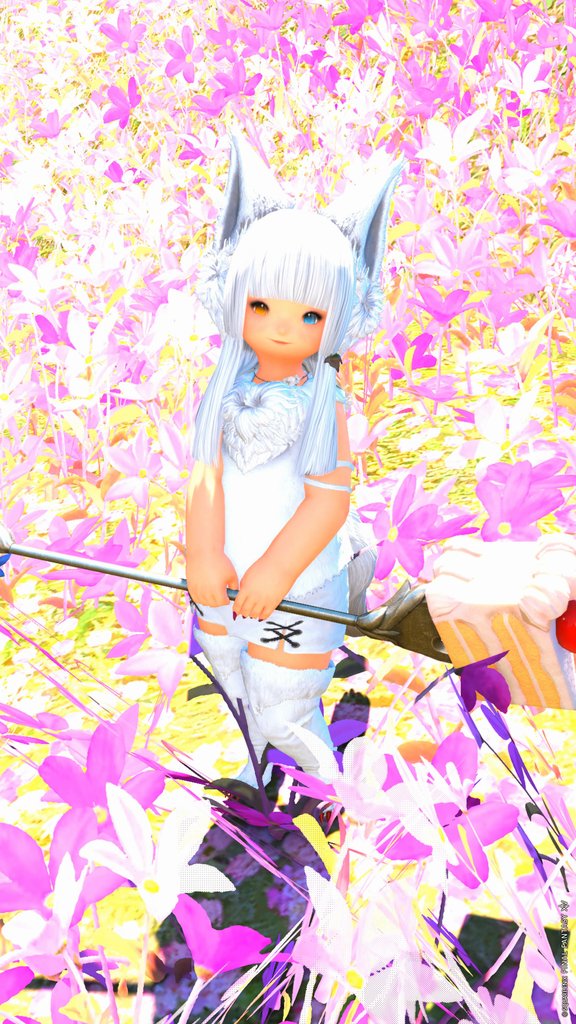 もふこ🐾 (@mf___0w0) / X