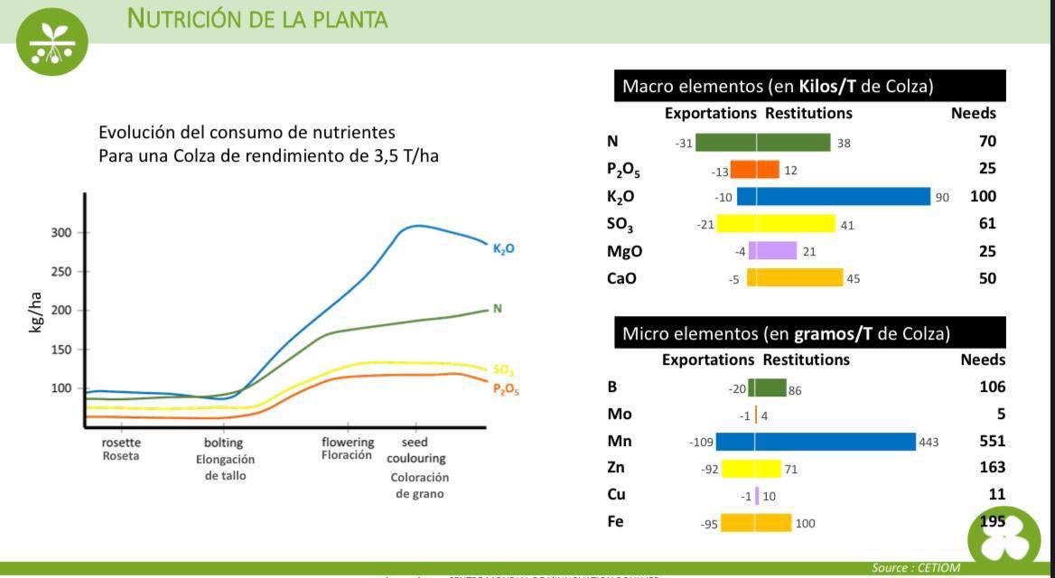 #AZUFRE 
En #Colza con INS bajo, aún en floración recomendamos la aplicación de #THIOMAX🇫🇷

✅ S, Mg y Mn=Más fotosíntesis 
▶️ +carbohidratos para la flor
⏩️ Mejor cuajado=más granos
▶️ +carbohidratos a la raíz 
⏩️ +mineralización de la MO
➡️ +aporte de S, N, P, B, Zn suelo