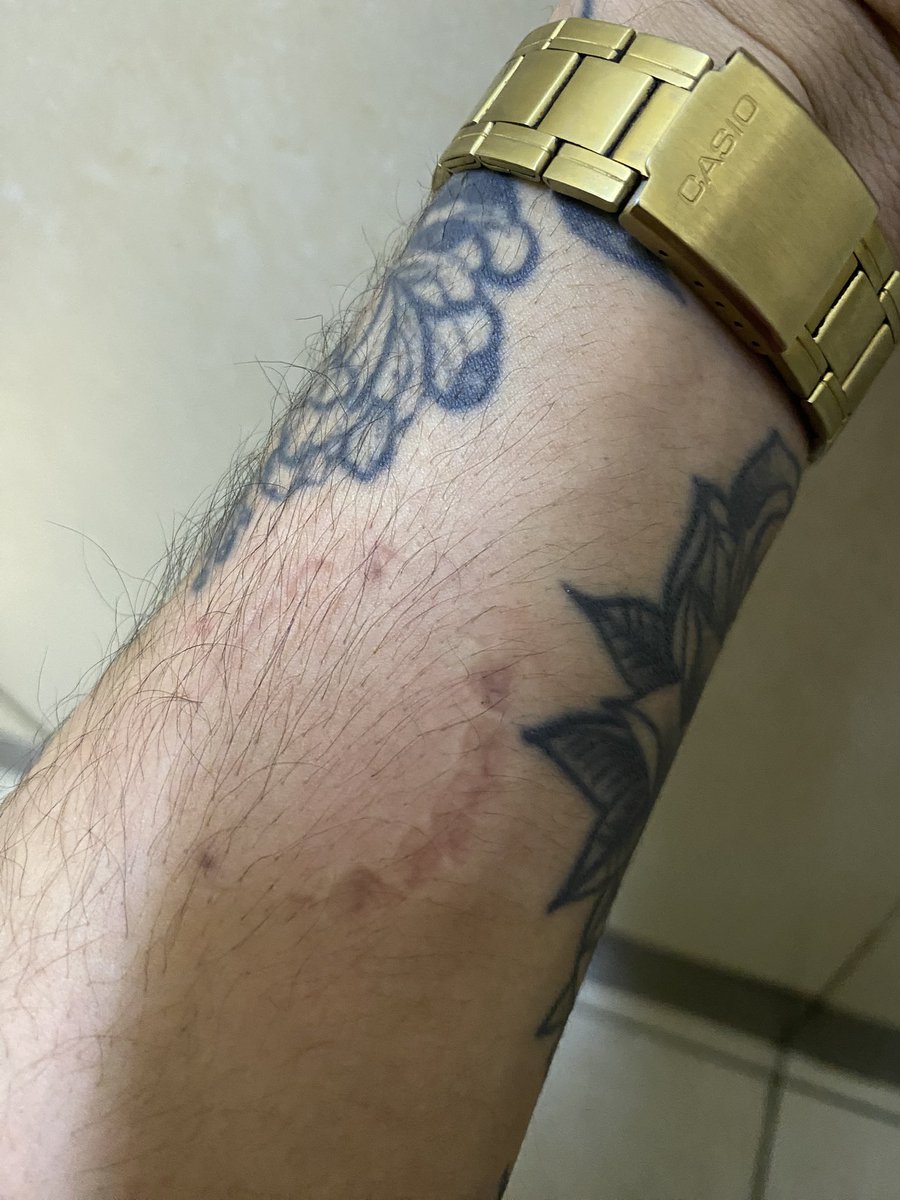 veesbian's tweet photo. i think im in love
(she marked me) https://t.co/46TB9kbAFb