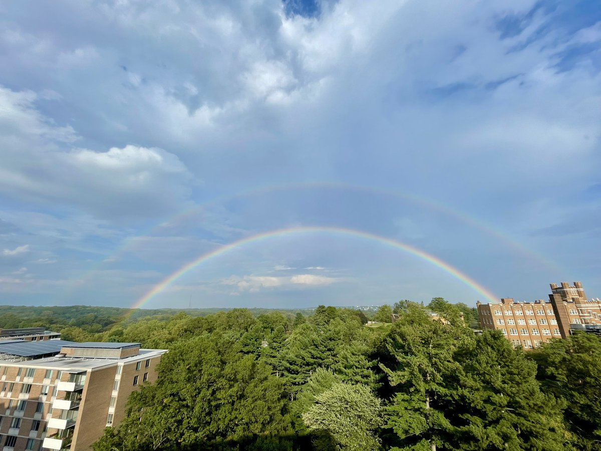 Beautiful rainbow over Rock Creek Park in DC today 🌈