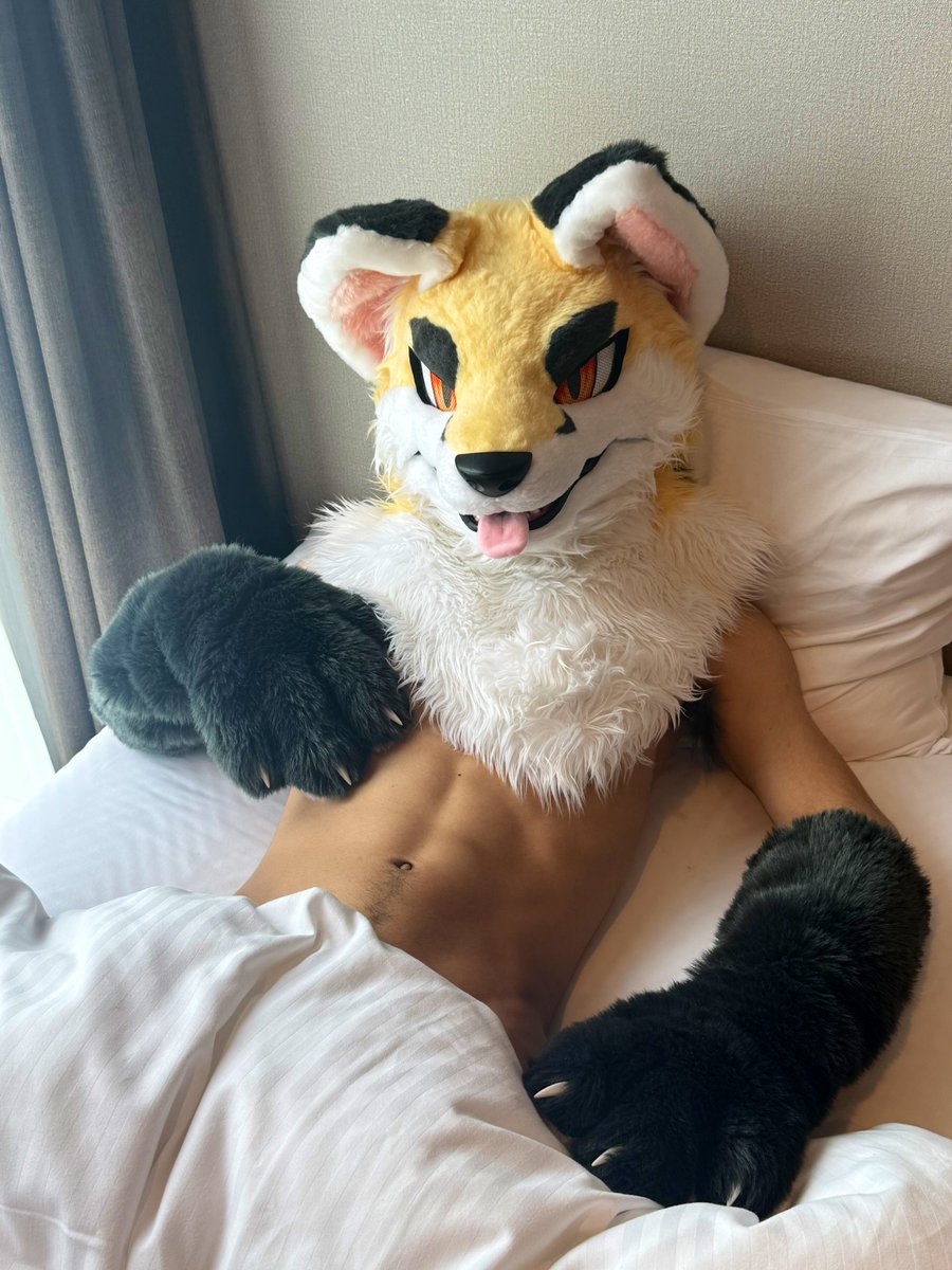 hozuKa_AD (@hozuka_ad) on Twitter photo 