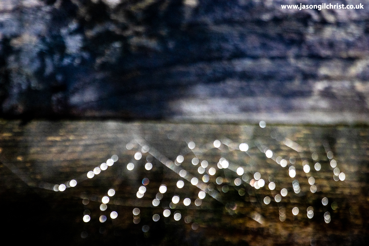 jgilchrist13's tweet image. Spider&apos;s web.
After rain.
On fence.
Bathgate, West Lothian, Scotland.
Today.
[abstract version]
#abstract #AbstractPhotography #SpidersWeb #SpiderWeb #OutdoorPhotography #WeatherWatchers #StormHour #ThePhotoHour #photography #nature #Bathgate #WestLothian #Scotland #LoveSpiders
