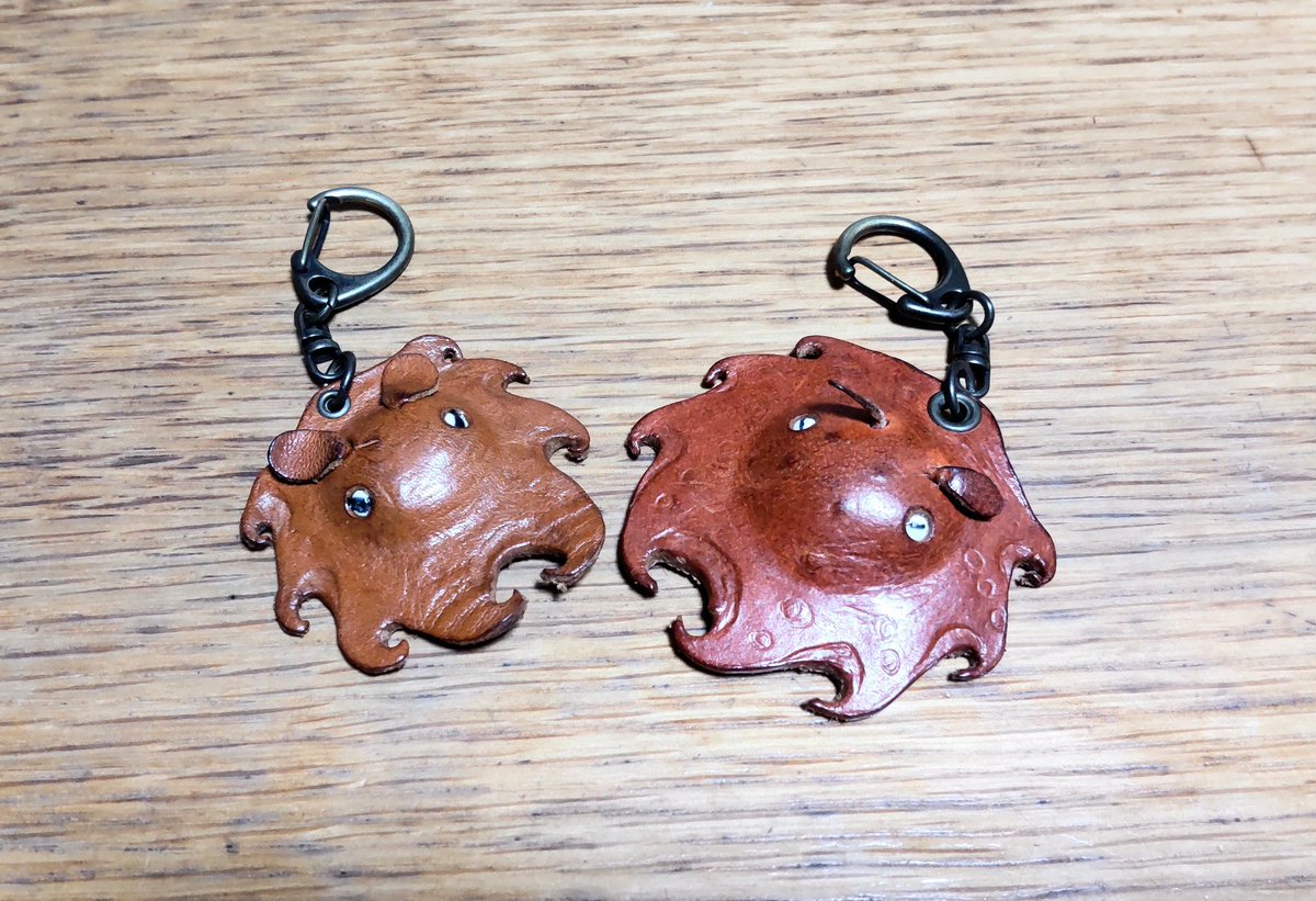 メンダコ カサピアス image70.jpg