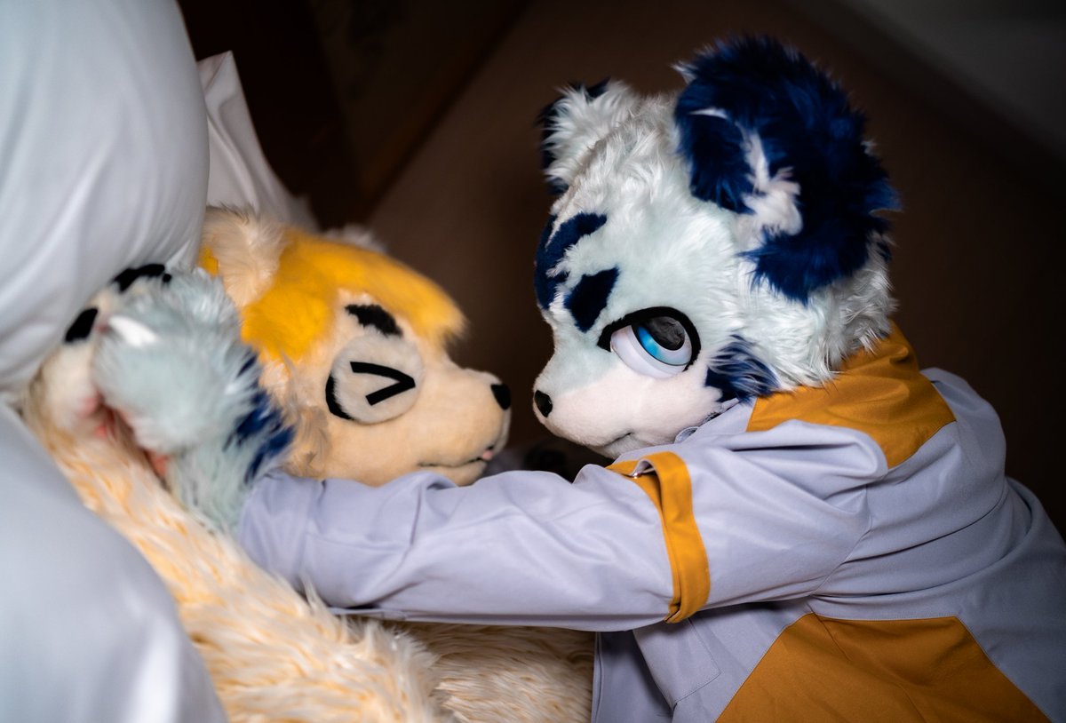 熊兄弟你好香
🐯 @晦墨
📷 <a href="/Huze_Shadow/">Huze_Shadow</a> 
#mofumofufursuit
#fursuitfriday