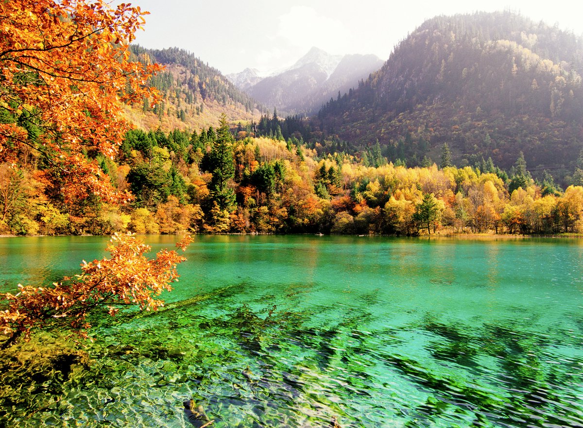 阪急交通社【公式】 on X