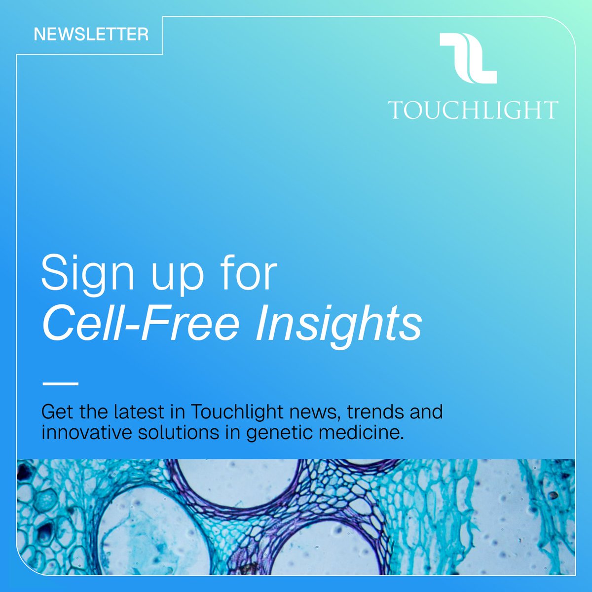 TouchlightDNA's tweet image. &quot;Cell-Free Insights&quot; is Touchlight&apos;s insightful newsletter. Get the latest news, trends &amp;amp; innovative solutions in genetic medicine. Stay ahead of the curve here: eu1.hubs.ly/H0mR1xh0

#CellFreeDNA #SyntheticDNA #enzymaticDNA