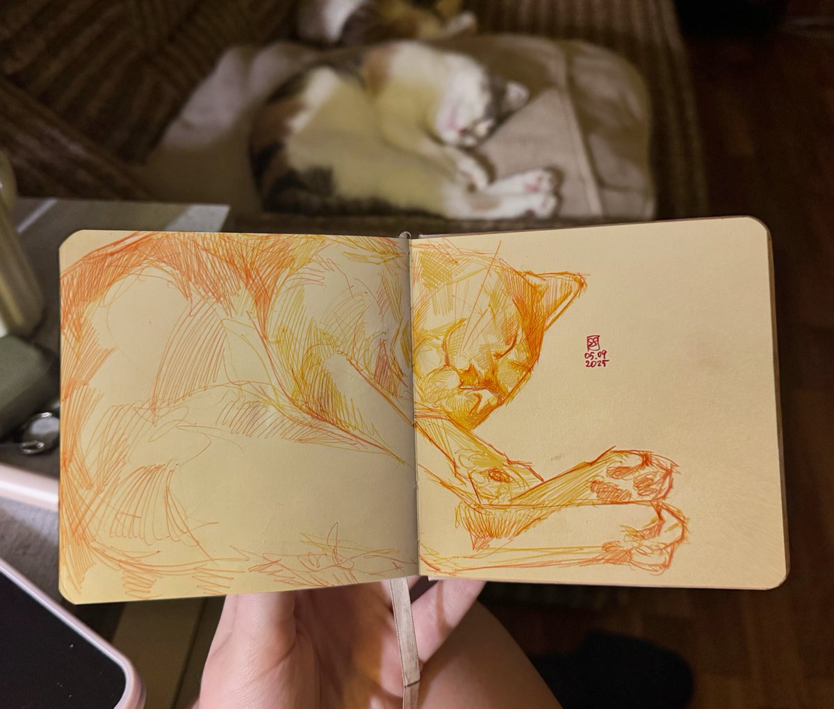 quick sketch before bed