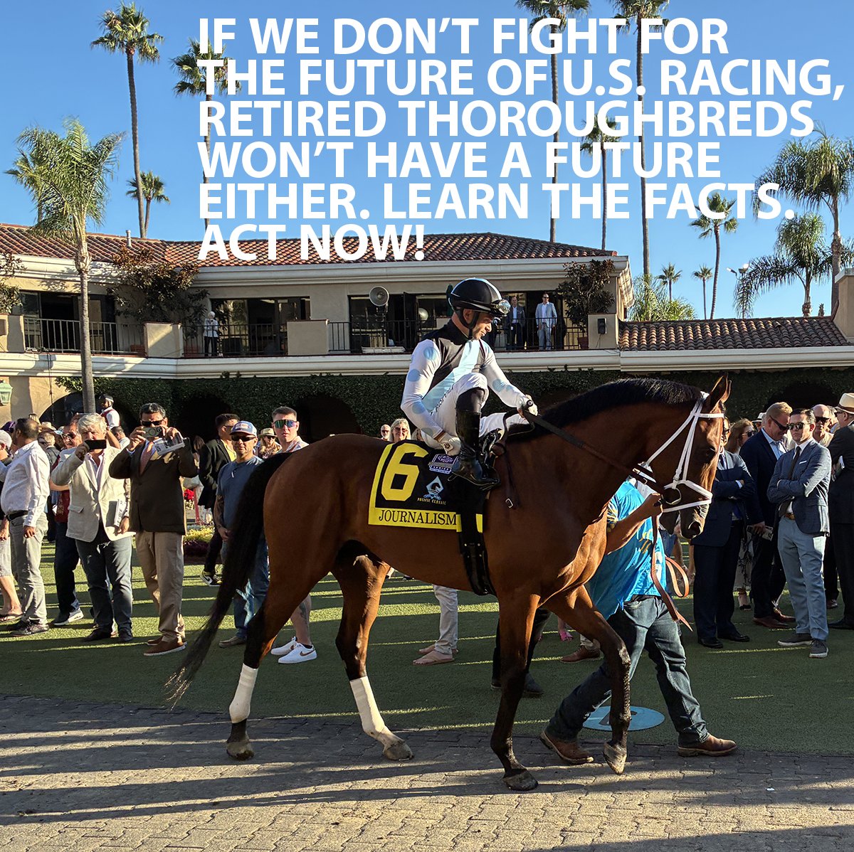 Racetrack Logic tweet media