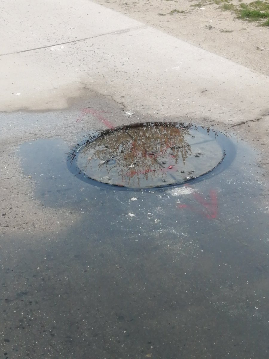 Nuevamente la cámara rebalsando en pasaje lambert de #villaalemana, vinieron a ver pero quedó igual y es bastante insalubre el olor <a href="/_ESVAL/">_ESVAL</a> <a href="/SISS_CHILE/">SISS</a> <a href="/Munivillalemana/">Municipalidad de Villa Alemana</a>
