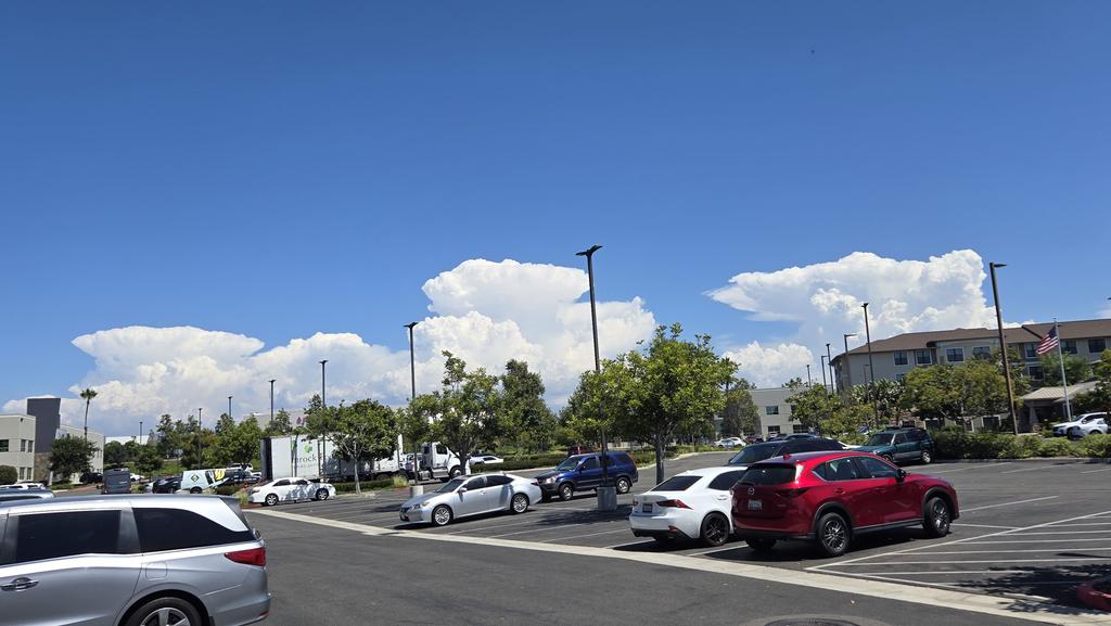 off2cdwzrd tweet media