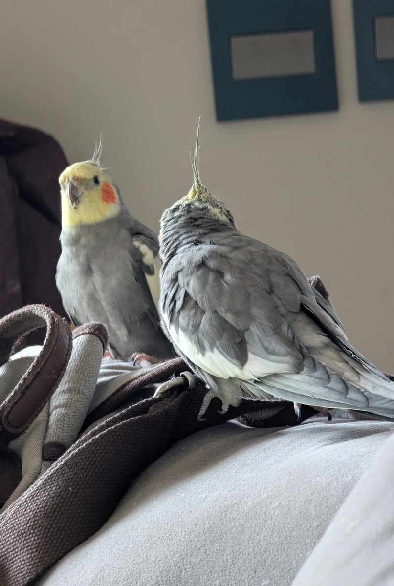 Important business meeting.