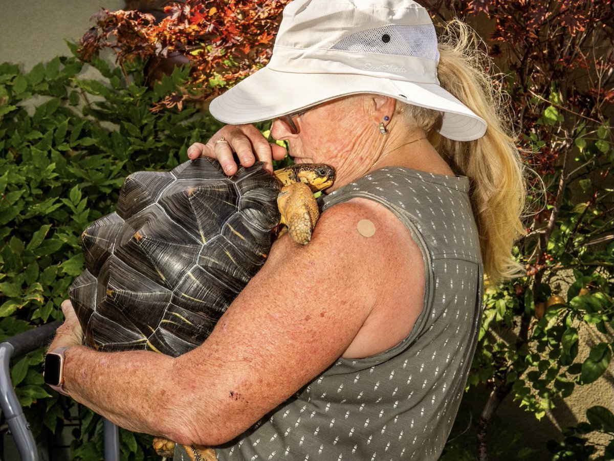 🌏

Turtles and tortoises are in big trouble—over half of all species face extinction.

Why? One reason is the massive pet trade. Rare species are seen as collectors’ items. 

Taking one female from the wild deprives the world of her long lifetime of eggs.

 🧵