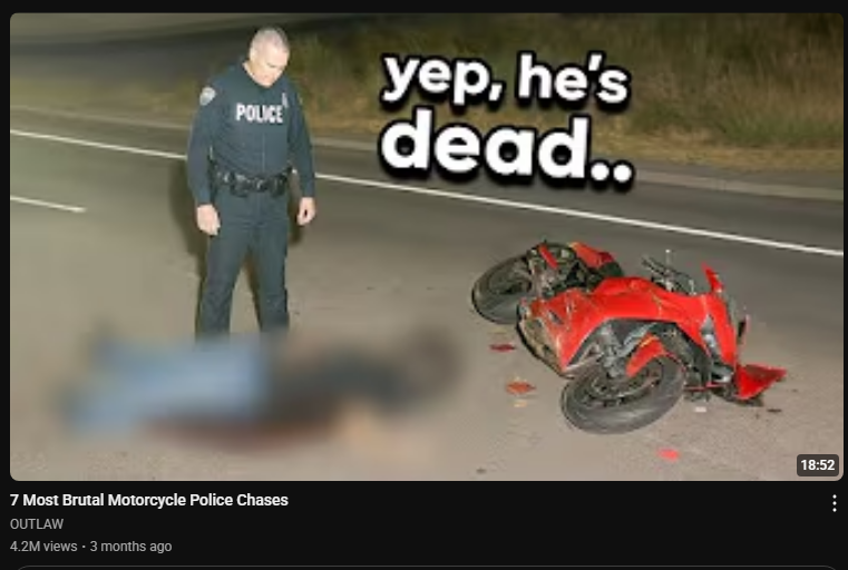 🥉 Pipkin Pippa 🔌🐰 Phase-Connect tweet media