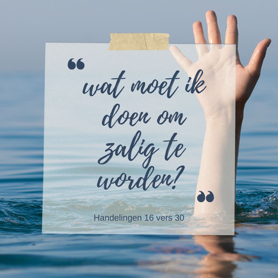 Dennis van der Wal tweet media