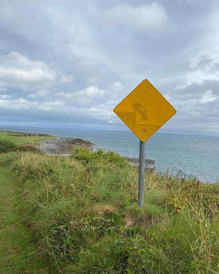 Hideennis's tweet image. What does this even mean? 

Certain death ahead!?!?
But where is the road? Why would a car even be here? Should I stop walking immediately? 😱 

These are the things I think about. 
If you can’t find me, I’ll be back in Ballyvaughan, 🇮🇪 
#Ireland 
#familymemories 
#randomsigns