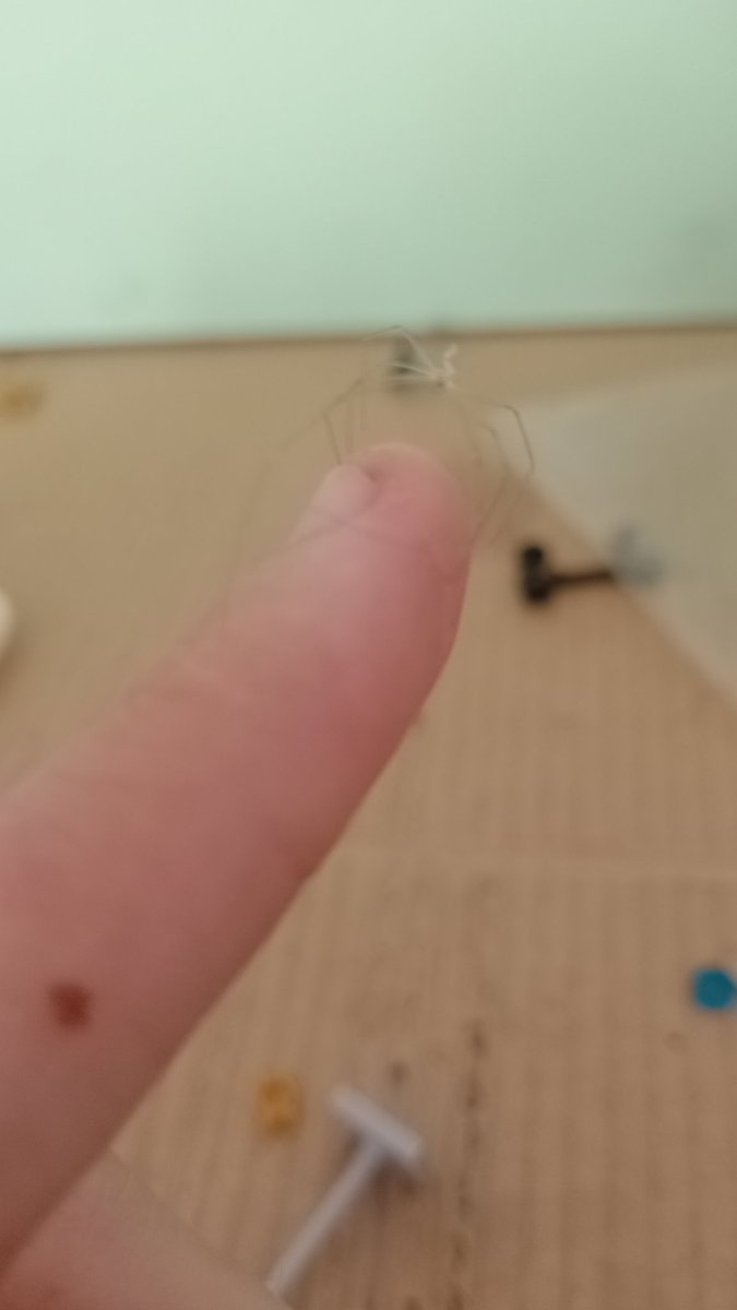 Pepito la araña patuda