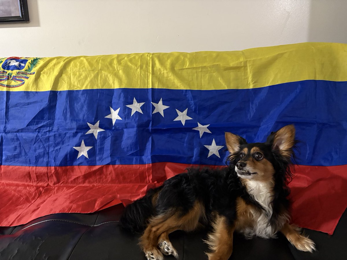 nancymorales05's tweet photo. https://t.co/CMmPCqzjbm