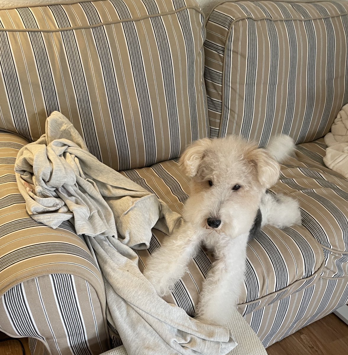 중안부가 길다는 것,
     그건...
      
             중안부가 길다는 뜻 이겠지.