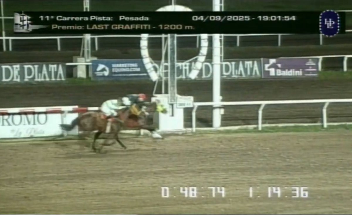 Haras Cortines (@harascortines) on Twitter photo PEQUEรO DYLAN (Safety Check y Saudade Tu) ganรณ su cuarta carrera al imponerse por 1/2 cuerpos sobre los 1200m del <a href="/Hipodromo_LP/">Hipรณdromo La Plata</a> felicitamos al Stud Dylan Y yo PEQUEรO DYLAN (Safety Check y Saudade Tu) ganรณ su cuarta carrera al imponerse por 1/2 cuerpos sobre los 1200m del <a href="/Hipodromo_LP/">Hipรณdromo La Plata</a> felicitamos al Stud Dylan Y yo