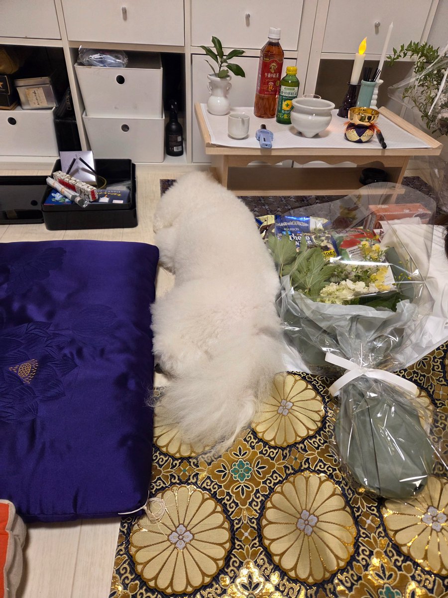 9月3日、嫁はんが死んでしまった。原因はくも膜下出血。即死だったと思われるとの事。毎週休みは嫁はんとお出かけ、何をするにも一緒だった。もう旅行にもキャンプにも美味しいものを食べに行ったりも出来ない。今度はあれしたいこれしたいあそこ行きたいと言ってた所だった嫁はんが1番無念だと思う。