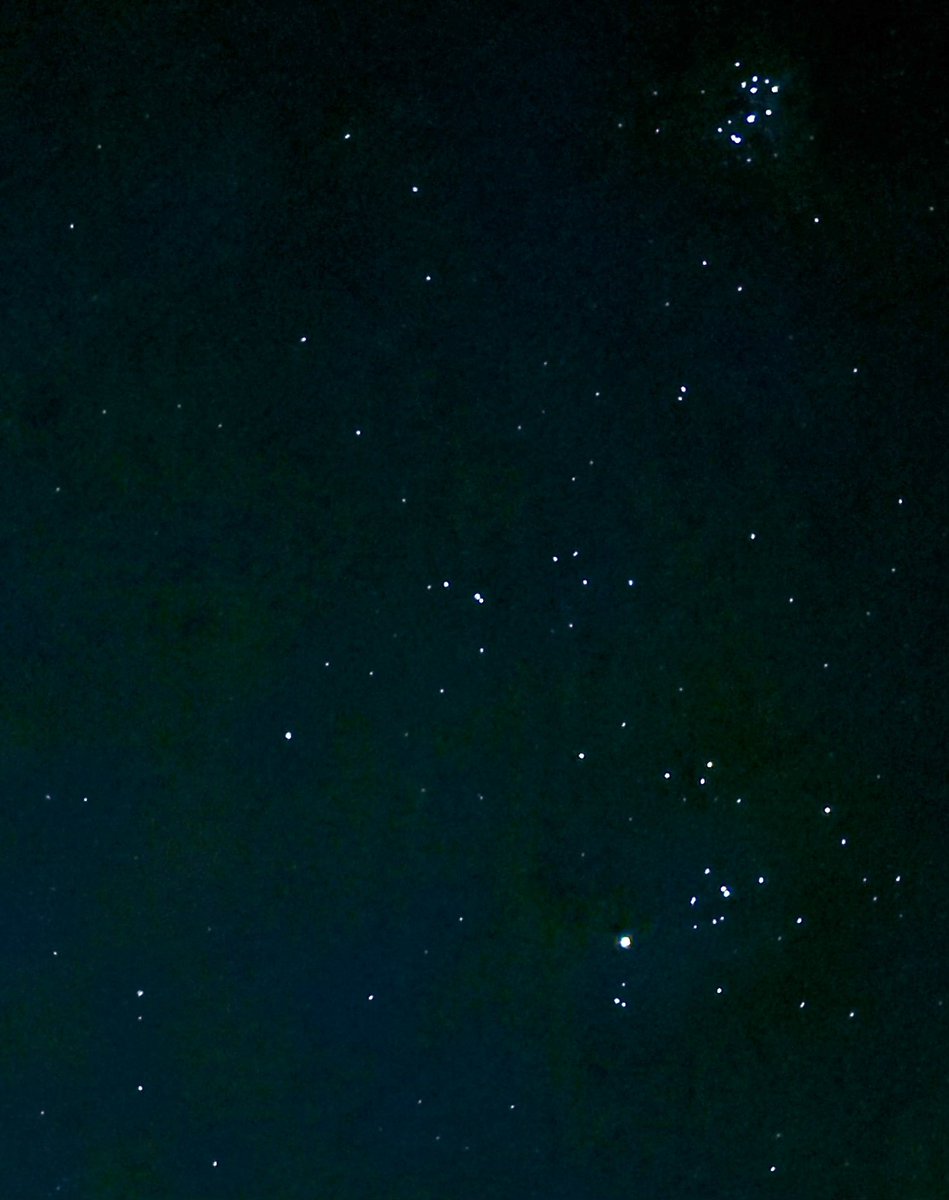 LouisaReid27382's tweet photo. S is for September…

 And #September is for spectacular starry nights with hunting Orion chased by his dog Sirius and squiggly Eridanus slithering up the sky towards the Seven Sisters 🌠✨
#WritingCommunity
#5amwritersclub
#dawnpatrol
#poetry
#constellations
#NatureBeauty
#stars https://t.co/lu9tQk7fq4