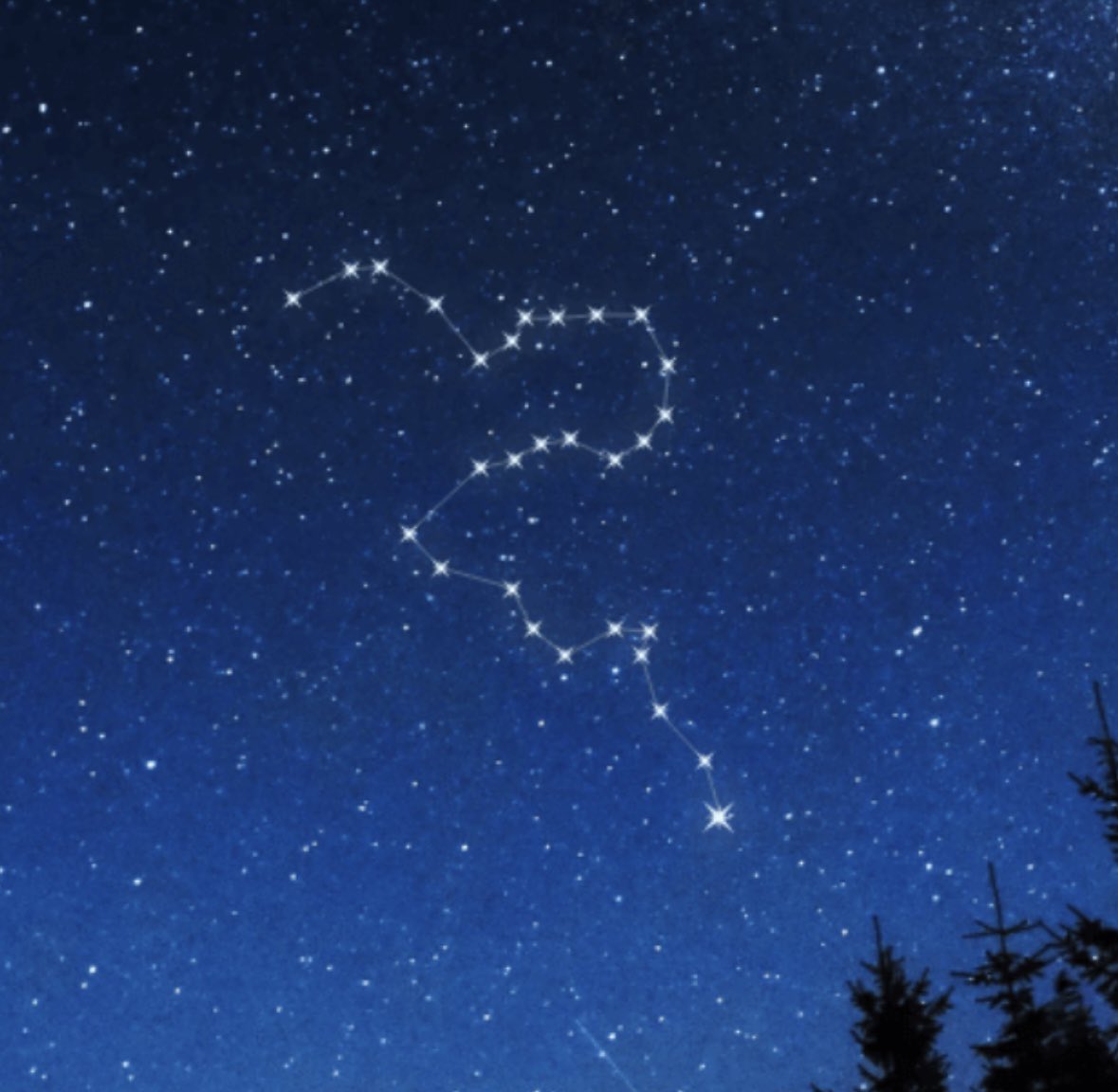 LouisaReid27382's tweet photo. S is for September…

 And #September is for spectacular starry nights with hunting Orion chased by his dog Sirius and squiggly Eridanus slithering up the sky towards the Seven Sisters 🌠✨
#WritingCommunity
#5amwritersclub
#dawnpatrol
#poetry
#constellations
#NatureBeauty
#stars https://t.co/lu9tQk7fq4