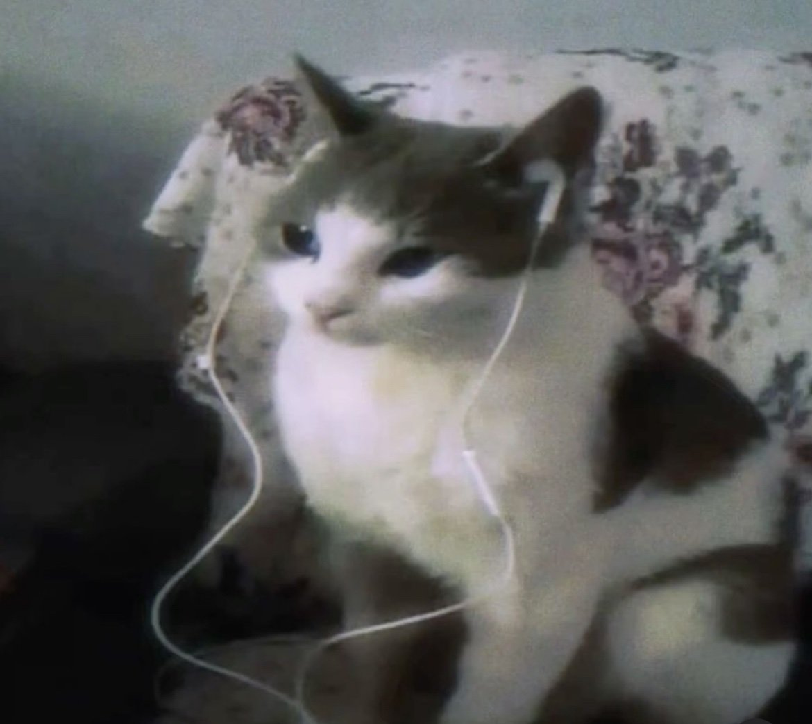 yxmxton's tweet image. 