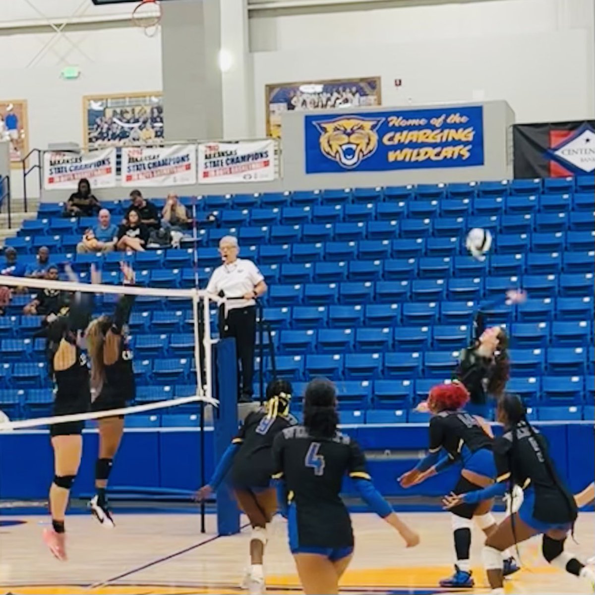 Little Rock Juniors tweet media