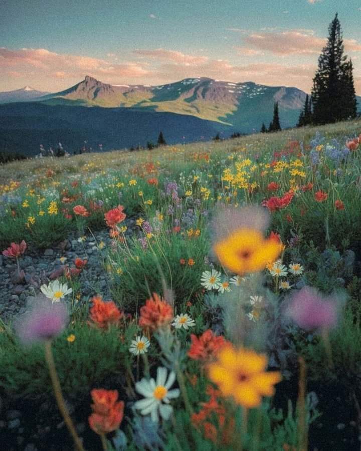 Catching up in the evening with current events can be alot but I can't be online 24/7, right? My day as a housewife consists of my early morning work out/hygiene, cleaning, homework/studying with our little one, organizing, cooking/meal prep,  Clothing prep for the next