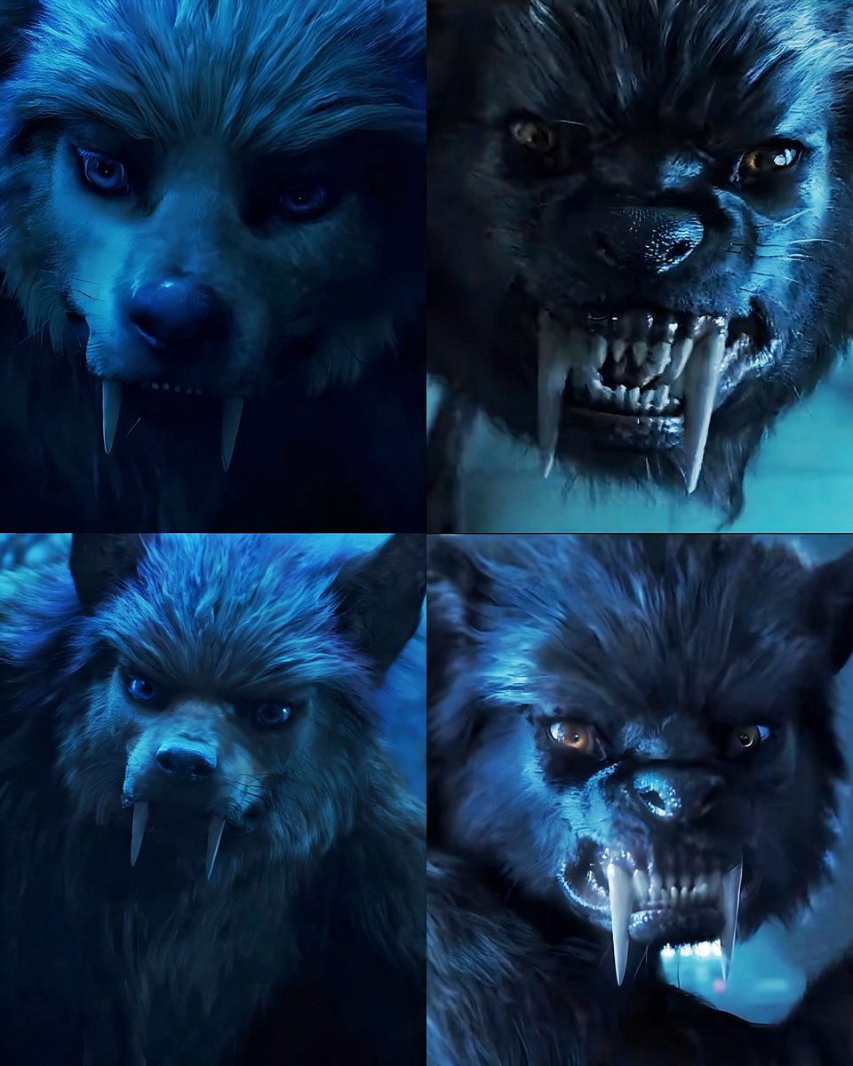 Enid werewolf form     Wednesday werewolf form