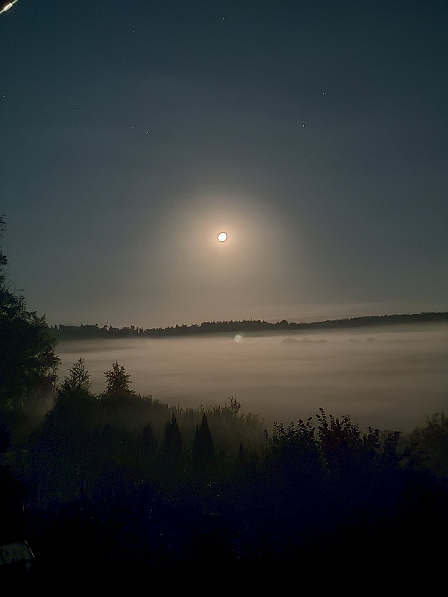Tā man šobrīd, 5. septembrī, 2025. gadā, 1:06 izskatās aiz loga.😍🌔 Grīziņkalnā bija forši. Bet te naktīs ir sterīli kluss, tumšs un skati ir dvēseli priecējoši
