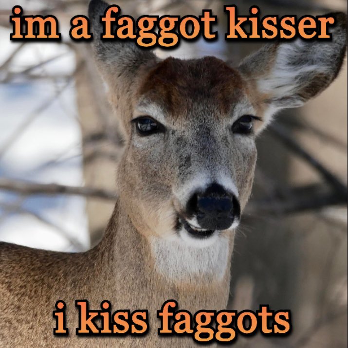 Deciding to listen to Rainbow by Kesha or Rainbow by Kacey…