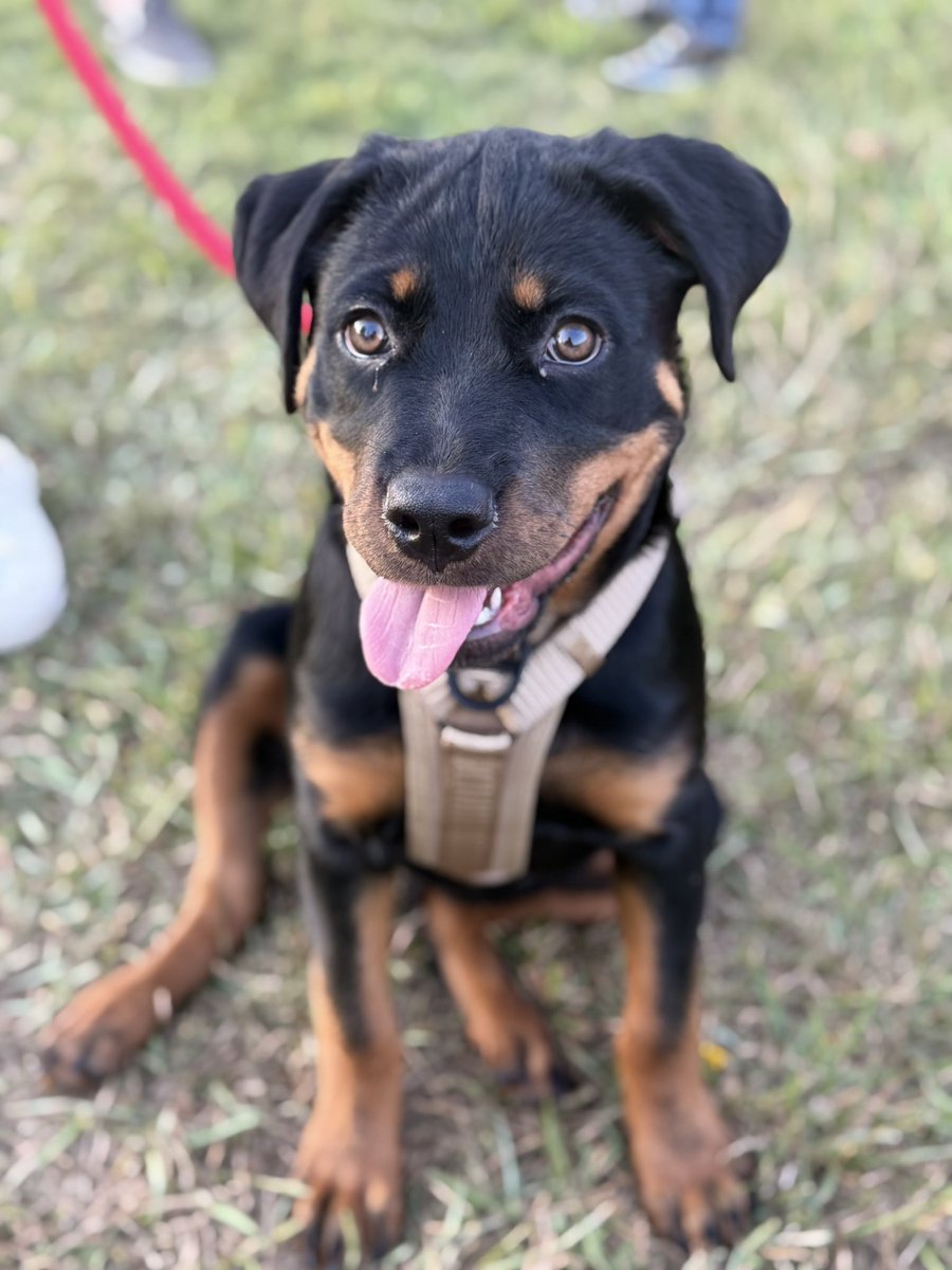 Odin (@odinson_us) on Twitter photo 