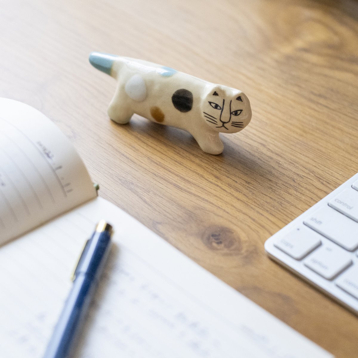 ♡♧ฅ⁠^⁠•⁠ﻌ⁠•⁠^⁠ฅリサラーソンฅ⁠^⁠•⁠ﻌ⁠•⁠^⁠ฅ♧♡ ♡♧ฅ⁠^⁠•⁠ﻌ⁠•⁠^⁠ฅリサラーソン