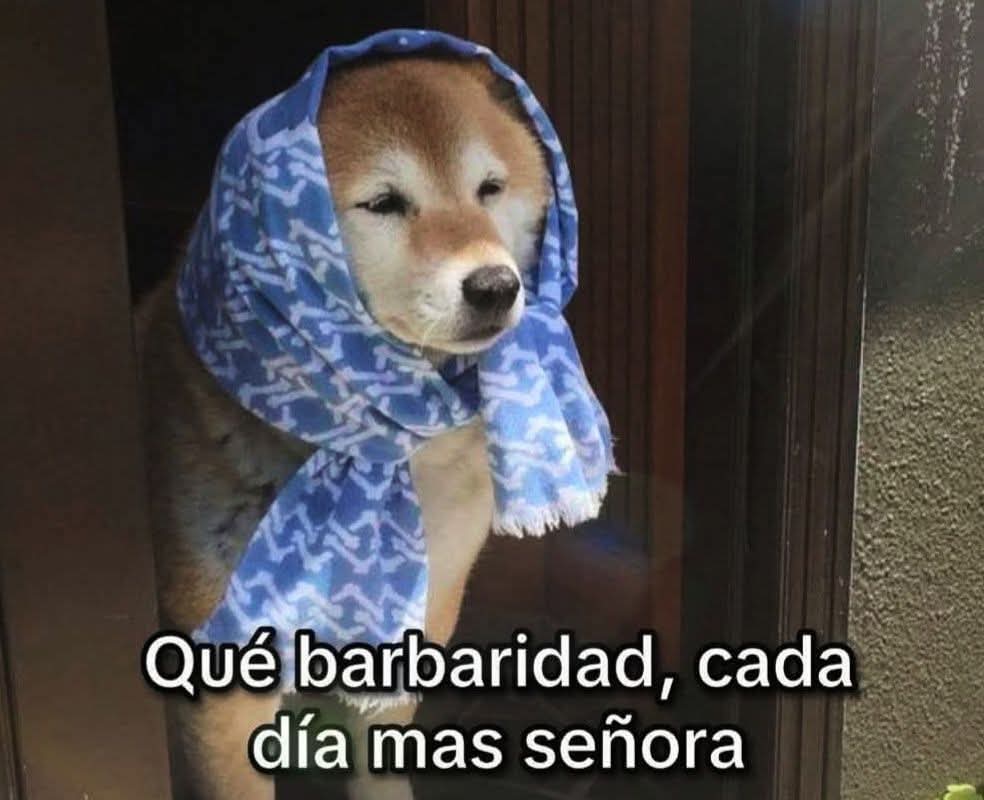 M O T I V A N D O T E (@m0tivand0te) on Twitter photo 