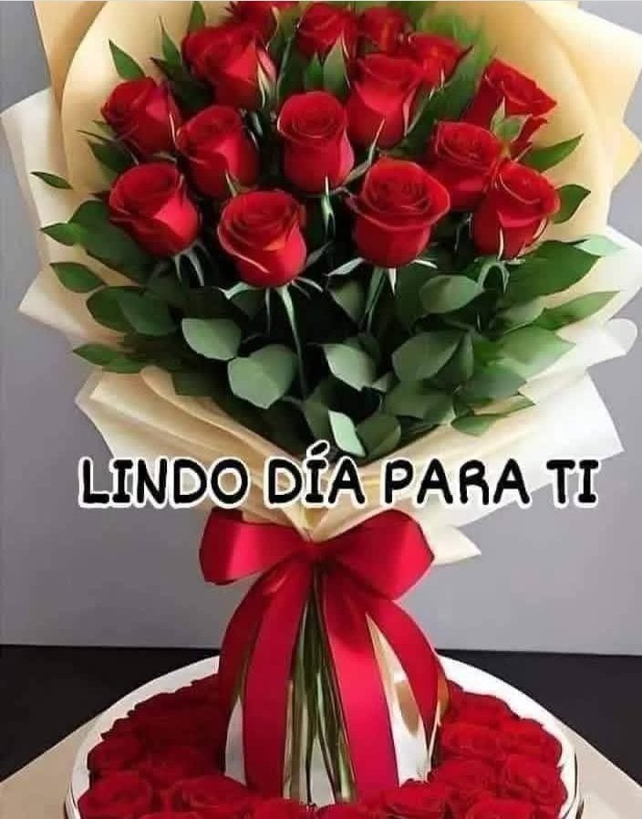 JessAntonioDa17's tweet photo. @LaRepelente Hola. https://t.co/JxoCdeuv89