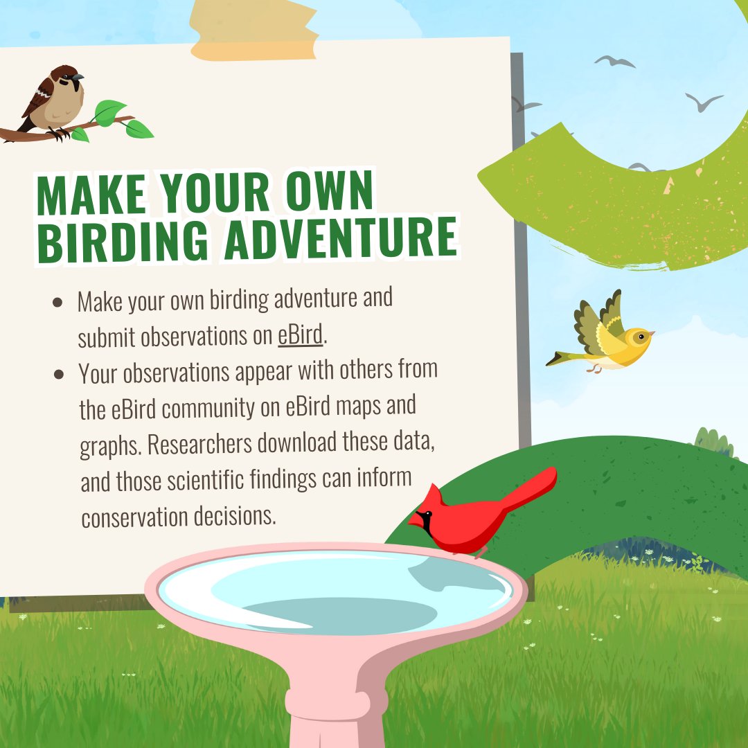 HispanicAccess's tweet image. Whether you’re exploring a local park, stargazing from your backyard, or joining an event online, you can be part of the celebration. 🙌Here are some fun and easy ways for you and your family to honor #LCW this year, no matter where you are! ➡️bit.ly/LCWResources25