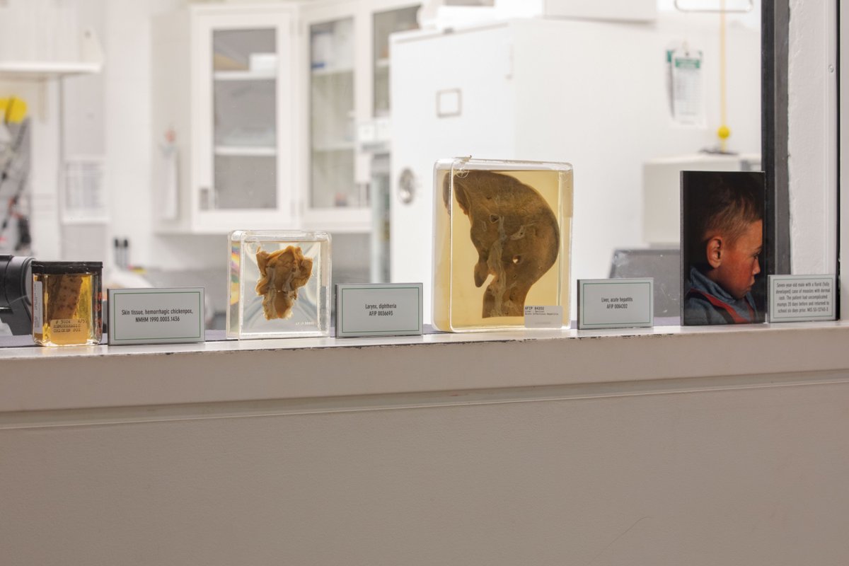 medicalmuseum's tweet photo. As students head back to class, we’re spotlighting the importance of vaccines. This month’s In the Lab exhibit features specimens from our collection tied to diseases like measles, diphtheria, hepatitis, and chickenpox that have been brought under control through immunization. https://t.co/4PxtZyio37