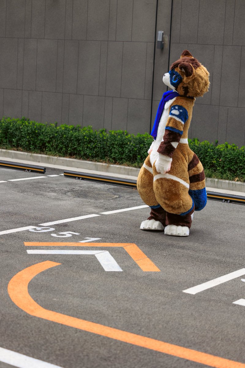 游移

Photo by <a href="/raimeiramen/">脏毛小狗</a> 
#FursuitFriday