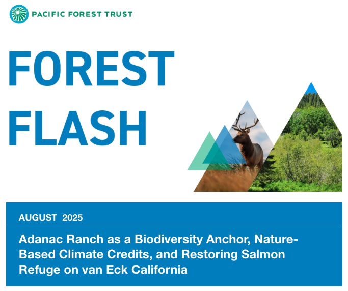 Read <a href="/PacificForest/">Pacific Forest Trust</a> Trust's recent Forest Flash &amp; subscribe for free pacificforest.org/forest-flash-a… #biodiversity #climatesolutions #salmon