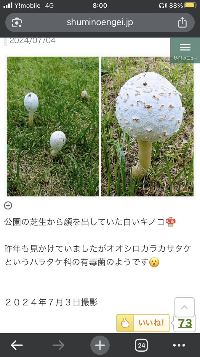 きのこ◎プロフ必読 キノコ【プロフ必読】 の出品した商品 - メルカリ