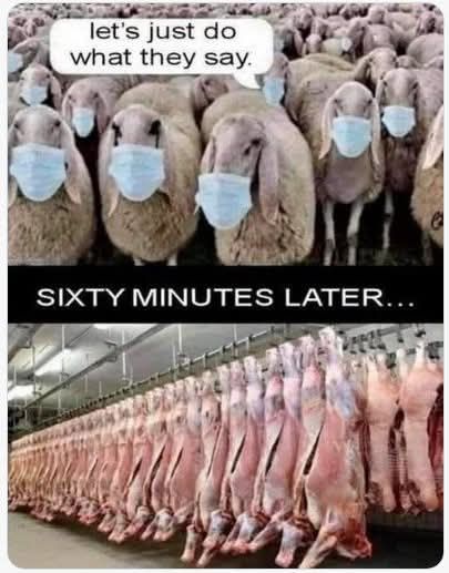 David Wolfe (@davidwolfe) on Twitter photo 