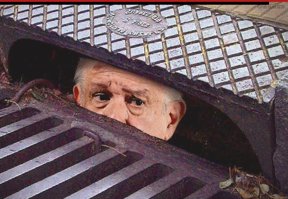 ¿Ya se fué Marco Rubio?