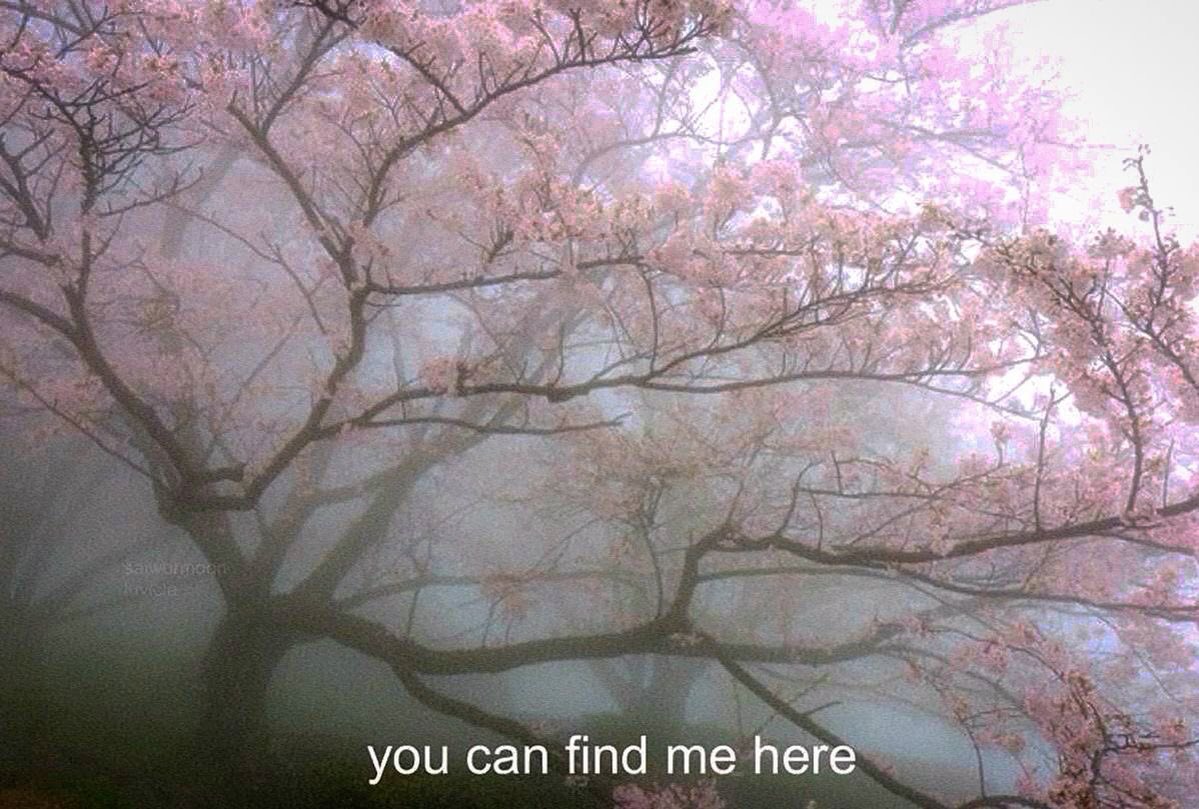 together forever ❦ (@divineki11er) on Twitter photo 