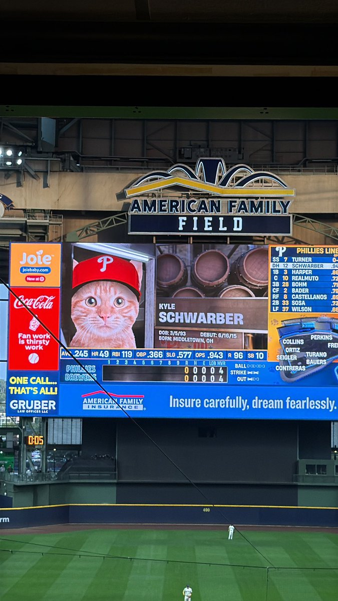 That cat’s got some pop in his bat