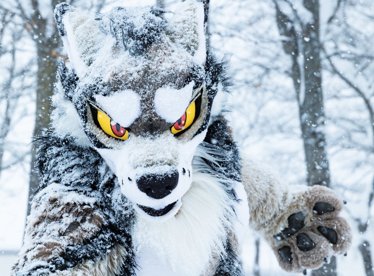 #何回でもポストしたくなるお気入りの一枚を見せて
📸 by @ run_charizard